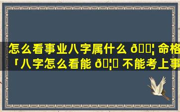 怎么看事业八字属什么 🐦 命格「八字怎么看能 🦉 不能考上事业编」